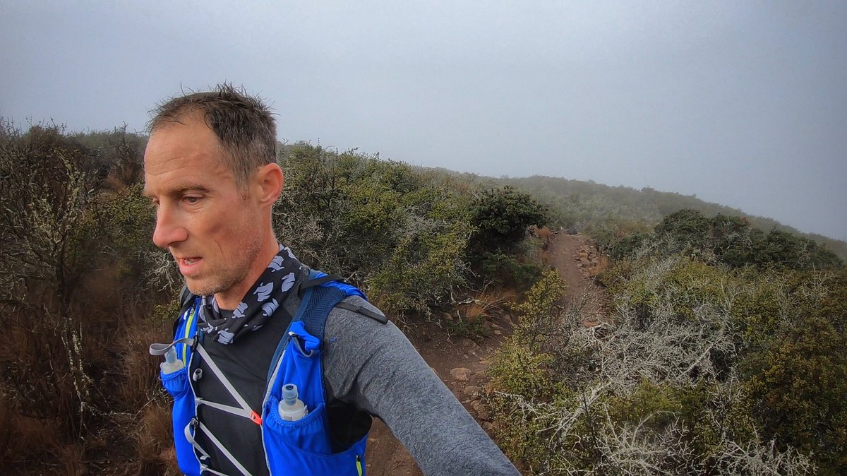 gen3ticfreak's tweet photo. Thankful for those childhood home trails #rabbitTrail #runinrabbit #nuunlife #nuunbassador #RADrabbit #SLOlife #runSLO #trailrunning #suuntorun #cowpiesandcloudyskies https://t.co/Dfs6KbYMZC