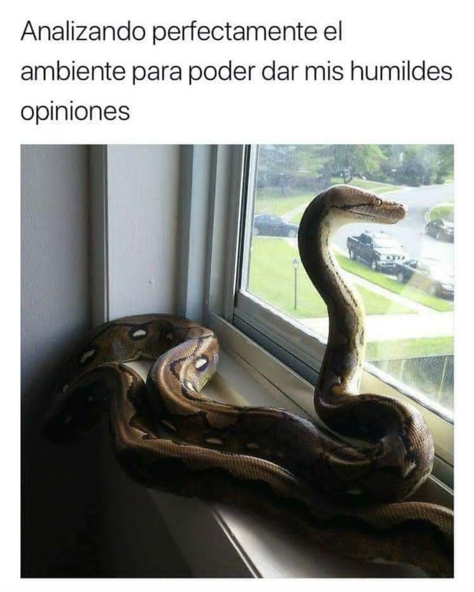 Змея ждет мужа с работы. Мы ждём тебя домой. Барин я постель постелила идите угнетать. Когда ждешь мужа с работы. Жена ждет мужа с работы.