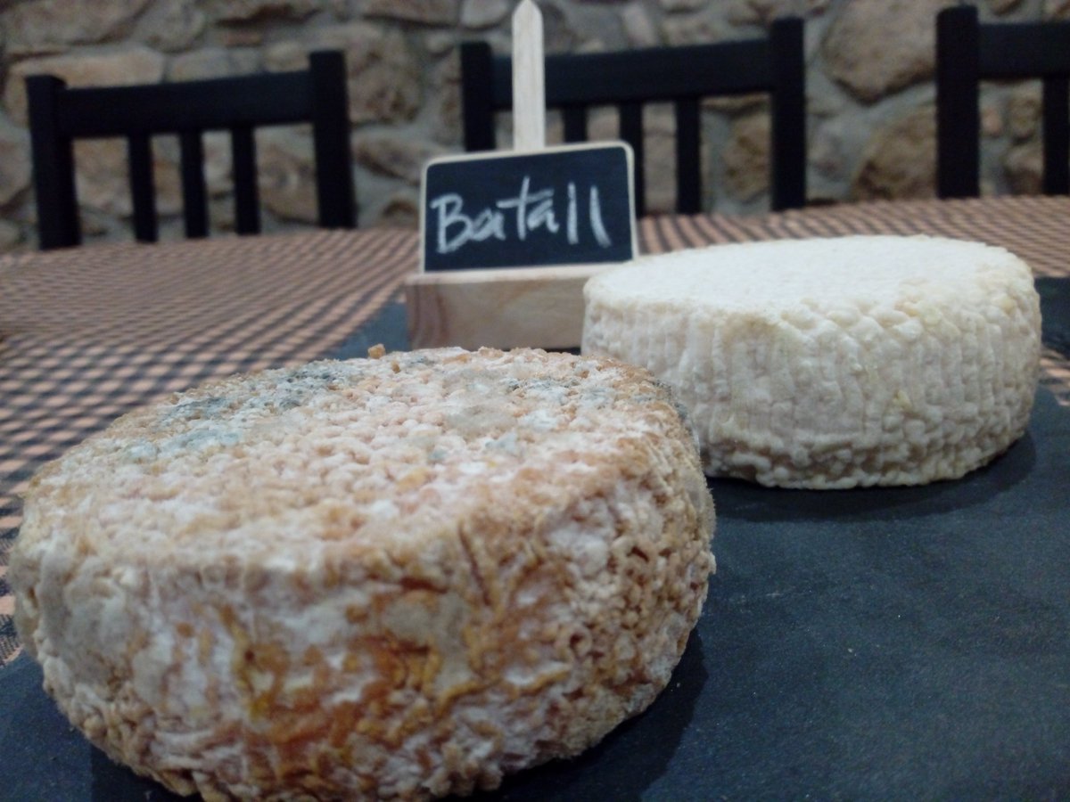 FormatgesLluca's tweet photo. Dues edats d'un mateix formatge!! 2 formatges diferents!! 
#batall #formatgedecabra
#cheese  #queso #lluçanès #cheeselovers https://t.co/Kw4nQSCnzU