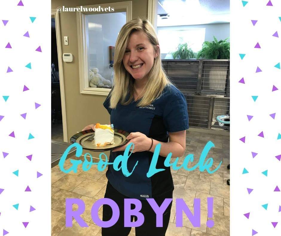 LVH515's tweet photo. Yesterday we had to say "Farewell, Robyn!" You may recognize this smiling face if you've visited our clinic and she was one of our true superstars! We wish Robyn all the very best on her next chapter. 
#vetmed #laurelwood #VOA https://t.co/N2FX5eB9wi