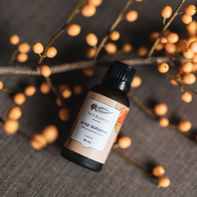 fernandpetal.ca tweet media