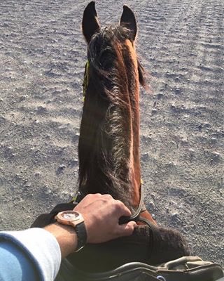 هناك علاقة عبثية غريبة جدا بيني وبين الكتابة والشتاء والسهر ؟! لماذا خواطري جريئة في فصل الشتاء .. وخجولة صامتة في باقي الفصول ؟
#خواطري 
#قلمي
#أحضان_الورق