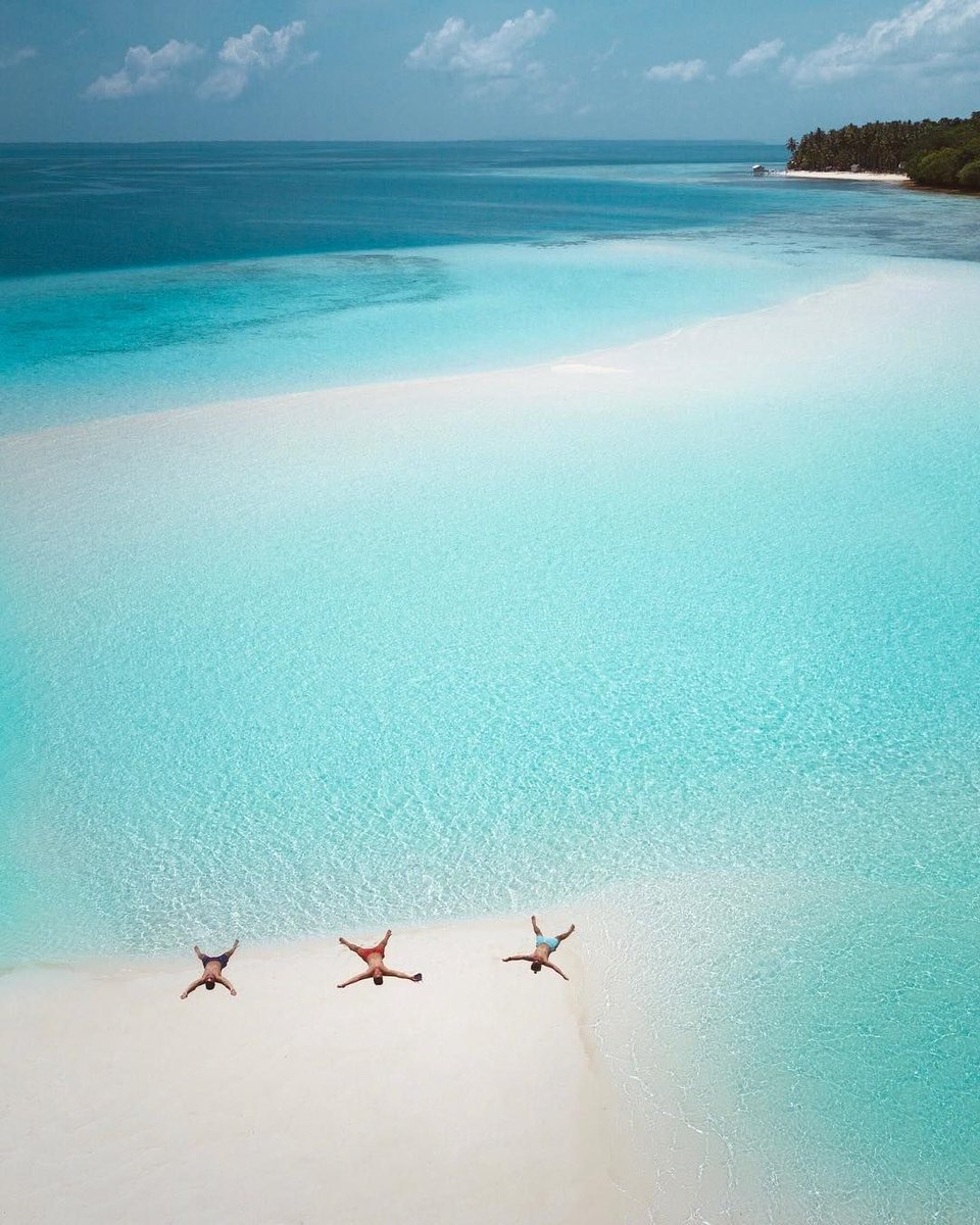TravelVida's tweet photo. Paradise 🌴 https://t.co/W4jy4Y3jtL