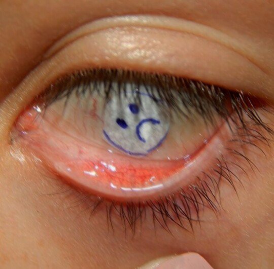 loved4eath's tweet image. 