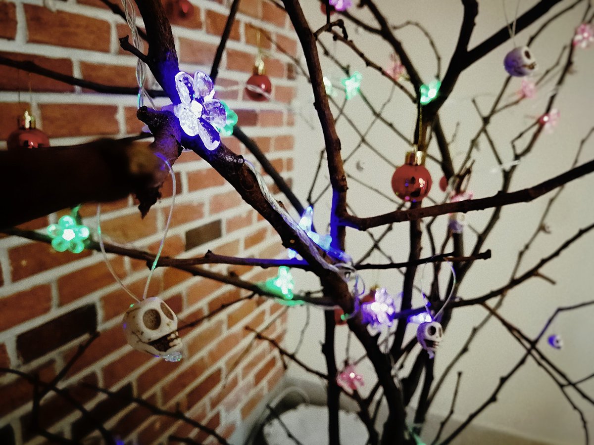 nova_mk's tweet image. Spirit