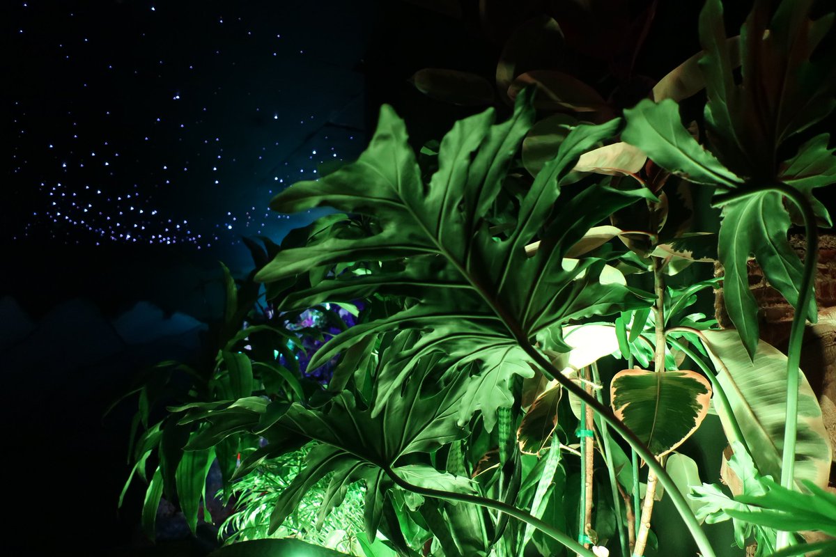 We're offering up a tropical escape! Come by!