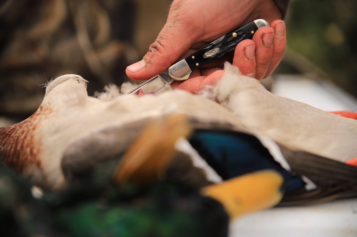 After the hunt, those trigger fingers don’t stay idle long. A sharp knife is a hunter’s best friend after a successful hunt. Keep those hands strong, knives sharp and the shooting straight! Follow <a href="/wrcase/">Case Knives</a> for more ways to keep those hands tough. #WRcase #CaseKnives  #ad