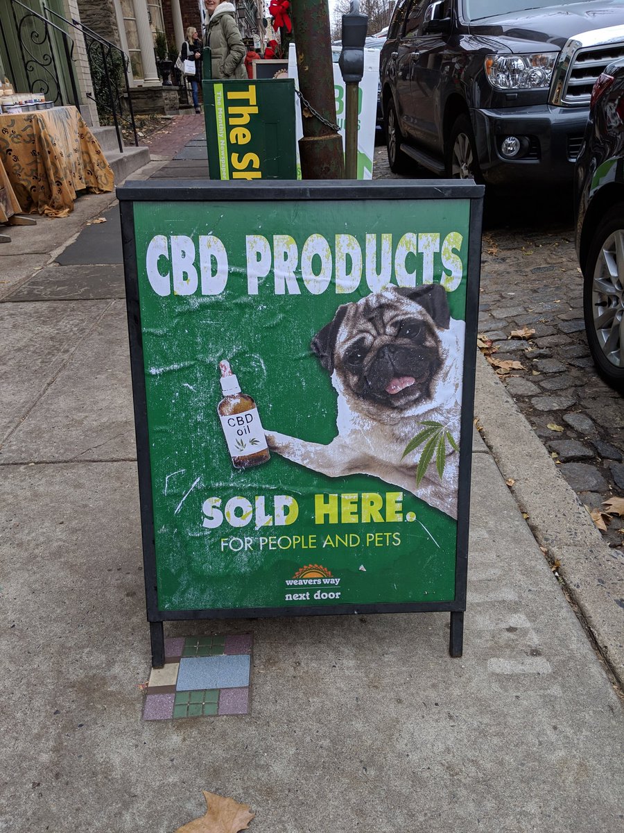 Once again a scammer is posing as me to try to bilk photographers out of their hard-earned money. Ignore that asshole and look at this awesome stoned dog instead. (and pls reach out if they've been contacting you)