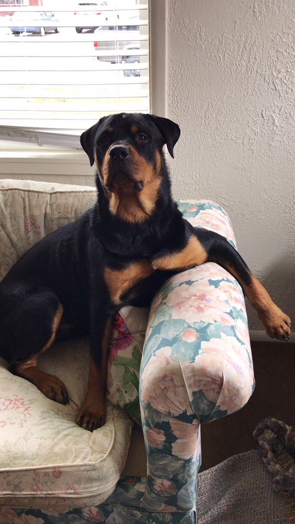 justingroach's tweet image. Blessed with this one @shelbsdeas