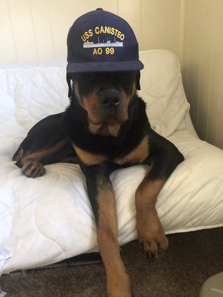 justingroach's tweet image. Blessed with this one @shelbsdeas