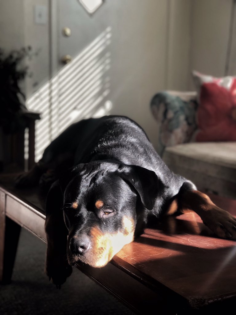 justingroach's tweet image. Blessed with this one @shelbsdeas