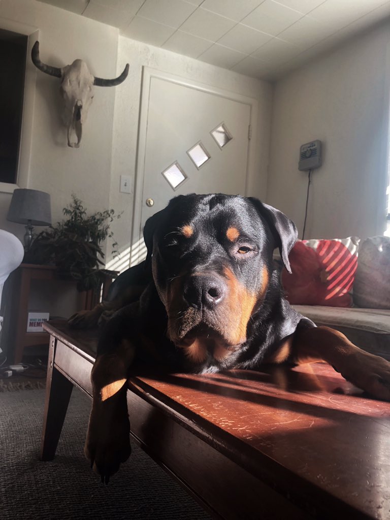 justingroach's tweet image. Blessed with this one @shelbsdeas