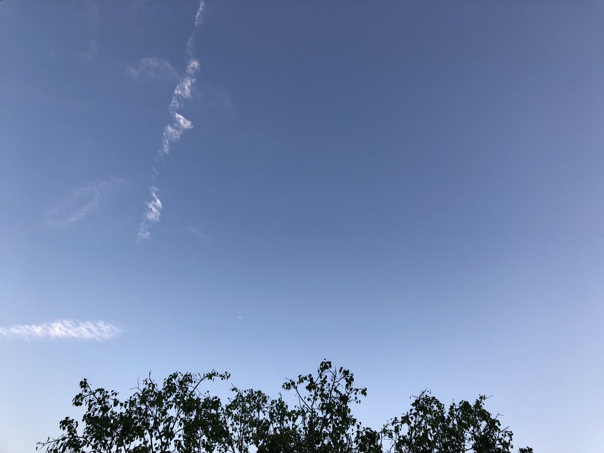 HoneyWhan's tweet image. Sunday #BeforeDecember