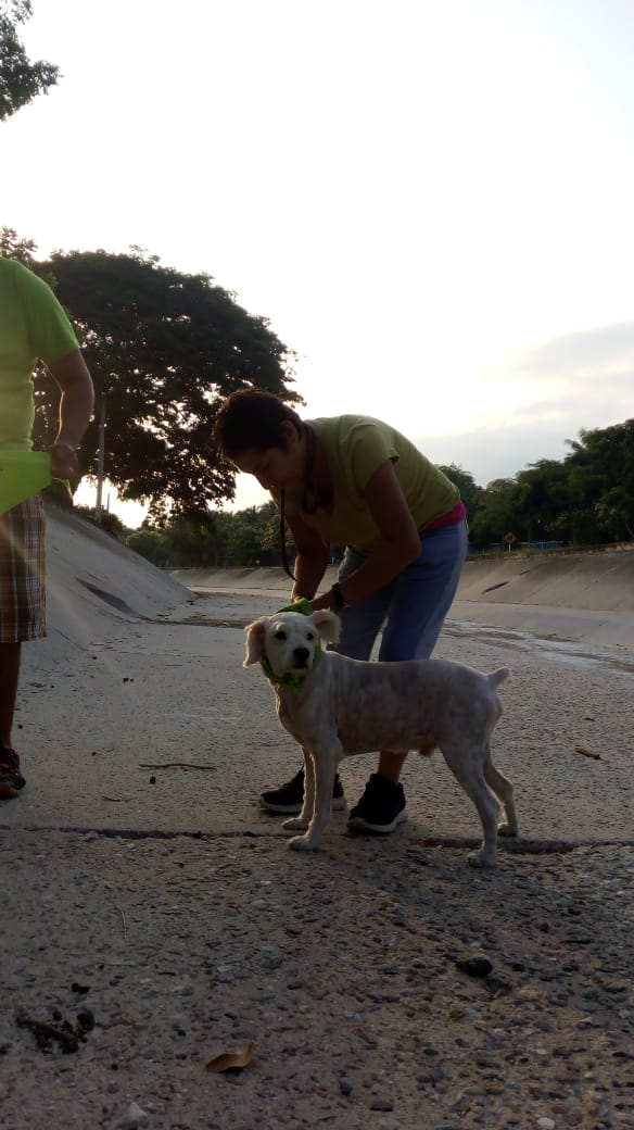 IniciativaHux's tweet image. Más amigos de suman a la campaña nacional, México libre de corrupción #Huatulco #sinmordidas @MEXXICOLC @aragonhuatulco