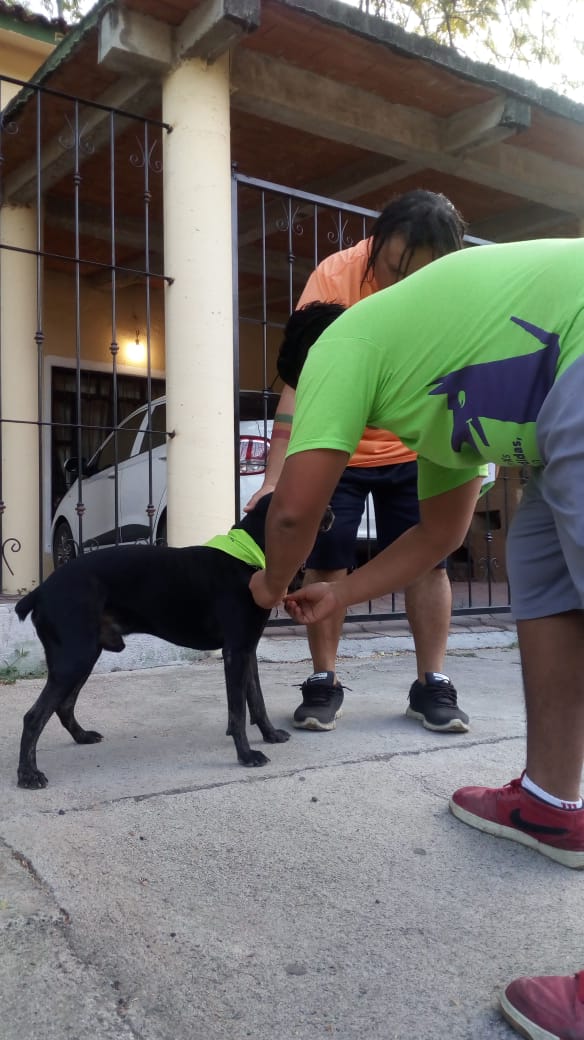 IniciativaHux's tweet image. Más amigos de suman a la campaña nacional, México libre de corrupción #Huatulco #sinmordidas @MEXXICOLC @aragonhuatulco