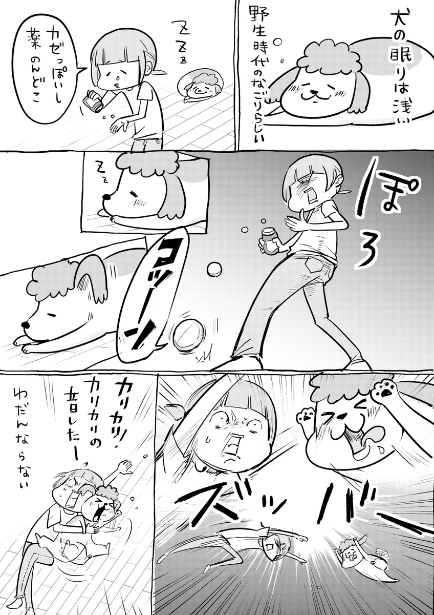 猫と犬を飼ってると寝てるときも油断ならなくて楽しいらしいww確かに楽しそうww