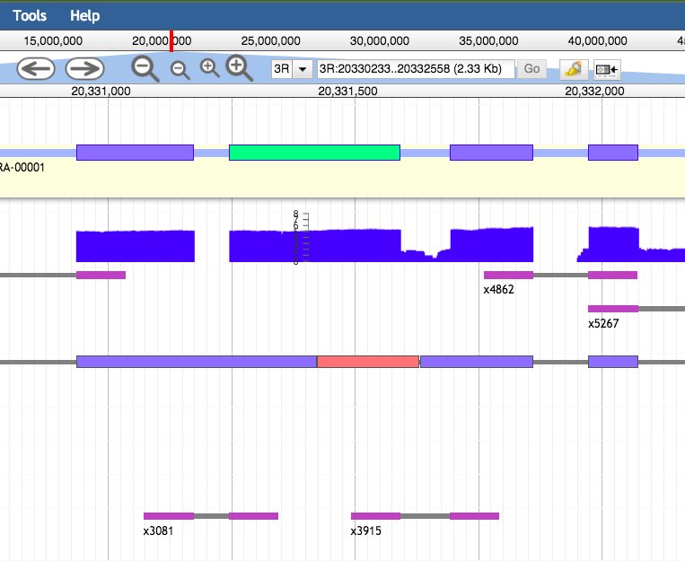 VBannotator's tweet image. Ain&apos;t #rnaseq brilliant? Resolves all those old bad predictions. Fantastic!