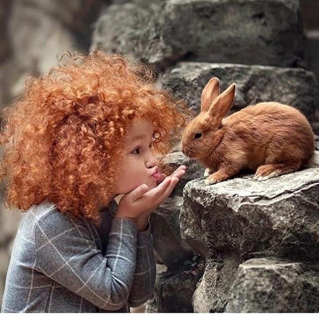 HealthyTipsMe's tweet photo. #wallaby #mammal #bunny #wildlife #🐰 #wild #fur #rodent #cute #rabbit #animal #fluffy #park #instagood #animals #thoughtful #madewithmap #photooftheday #beautiful #eyes #adorable #bunniesofinstagram #instabunny #bunnystagram #rabbitsworldwide #rabbit… https://t.co/p7Wo9HrpOt https://t.co/n7EHN6cv5S