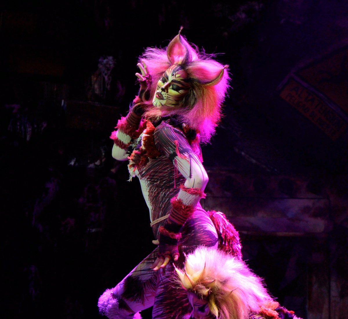 Miauuuu! 💥 '' BOMBALURINA''
<a href="/tanyavalenzuel/">tanya valenzuela</a>
#cats2018 #gerardoquirozproducciones #CatChowMx #PurinaMx