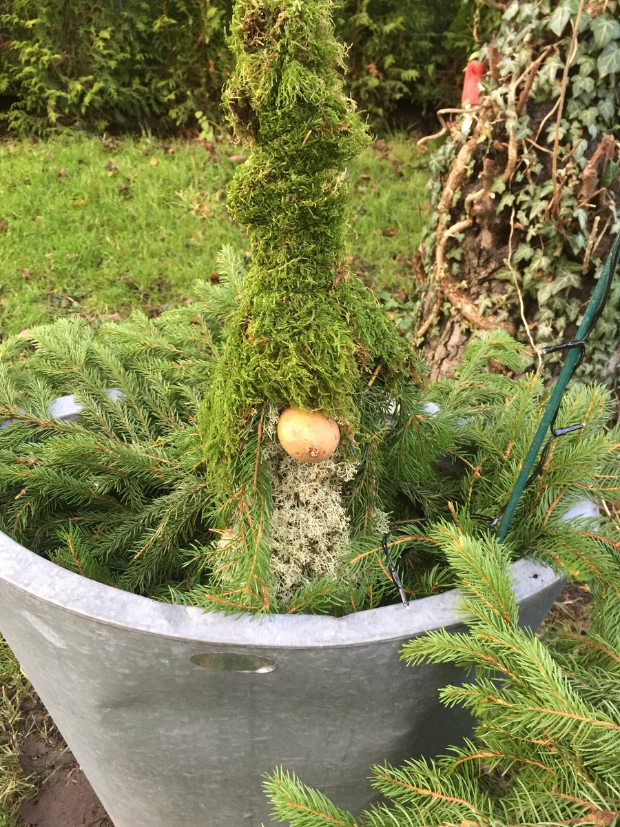 Mossiga tomtar :)
#tomtar #juliträdgården