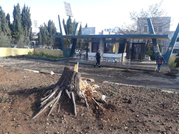 View image on Twitter