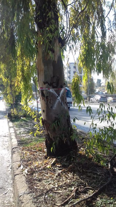 View image on Twitter