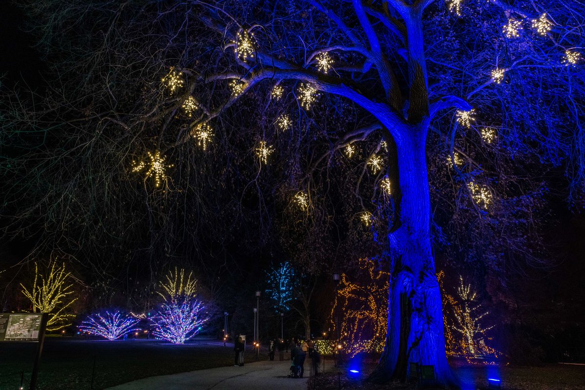 Longwoodgardens On Twitter We Light Up The Holidays With More