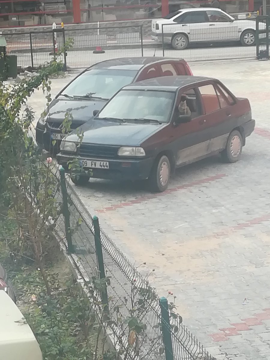 Seri mama yapan yere çek kardeşim