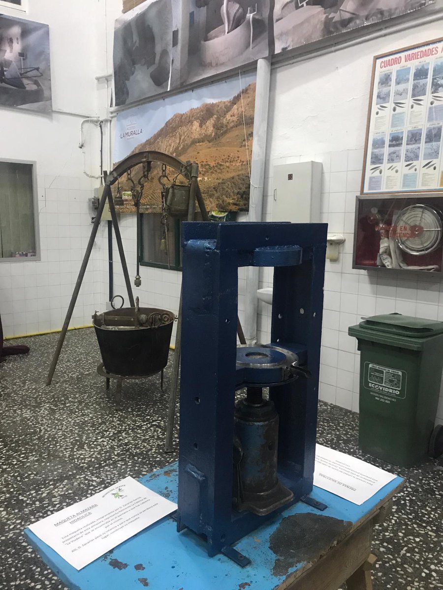 RutePASS tweet media