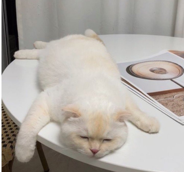 PZmpx04's tweet photo. สภาพช่วงนี้ หมดแรงจะก้าวเดิน ;_; https://t.co/3x5xv2xWD5