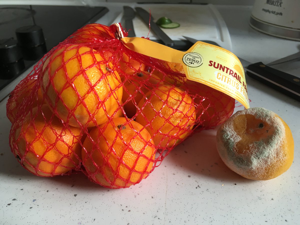 Kreddmaffian's tweet photo. Bought these two items from @Tesco by Oval yesterday, unacceptable. Mould and incorrect labels. https://t.co/IheSBokJrT