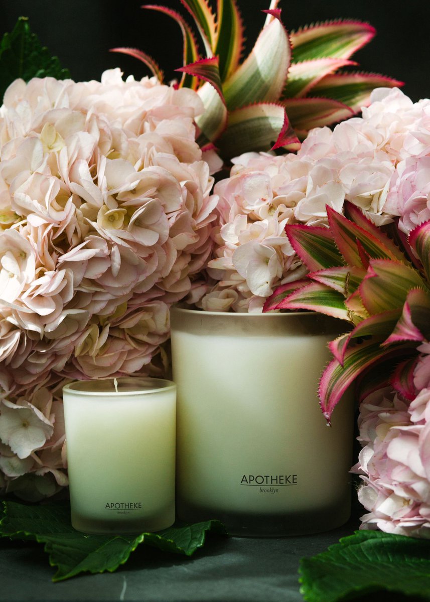 LBRSociety (@lbrsociety) on Twitter photo 