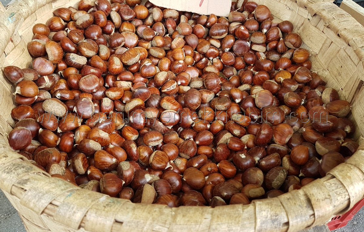 yemekkitabim's tweet photo. #mercado #rastro #Gijon
#pazar #productosnaturales #asturias #calabaza #lechuga #castanas #nueces🥰 https://t.co/UiBfIp4pIM