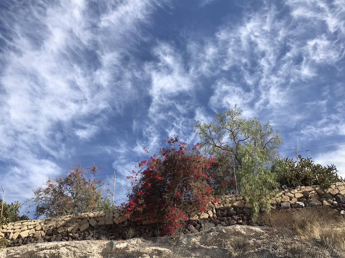 Another #hotday in #tenerife still #Calima and the #clouds are escaping ☀️🌤
#tenerifesur #teneriffa #tolleswetter #canarianislands #armeñime