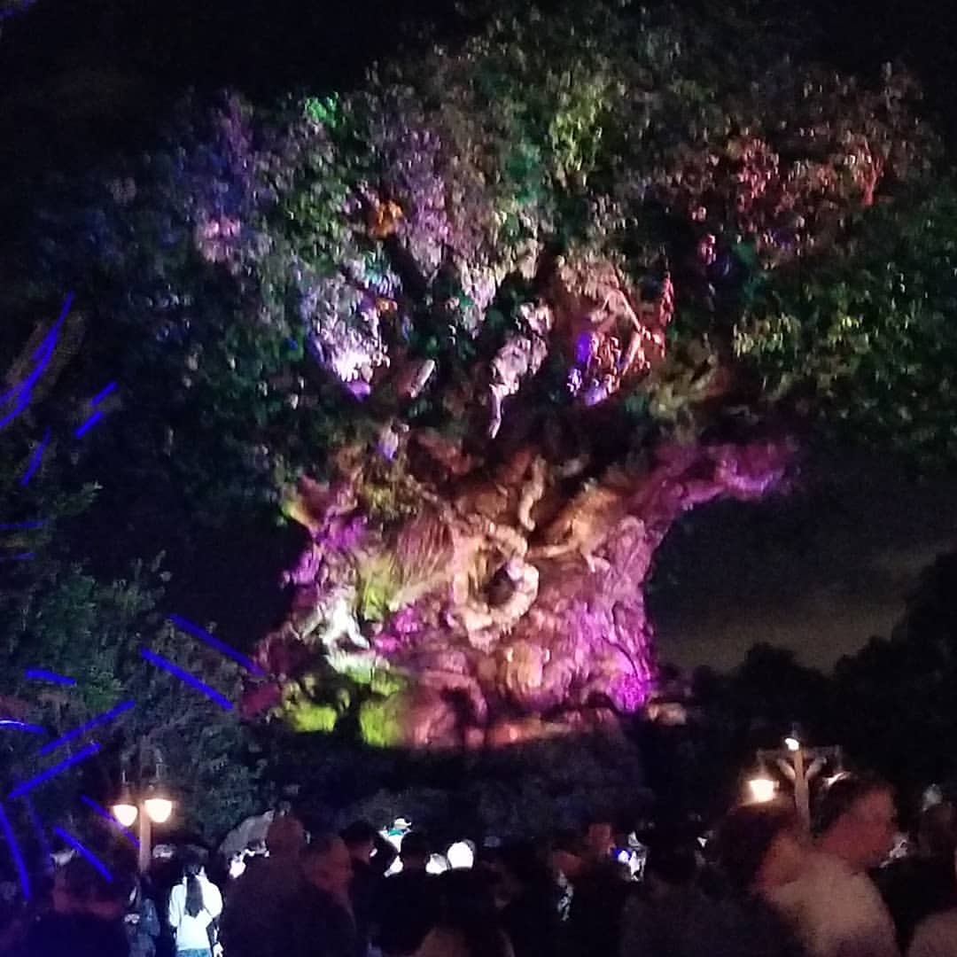 WandaHuertas's tweet image. Disney's Animal Kingdom💥🎄🎆❤🎅#DisneyTime ✈💥❤ 2018
#ChristmasVacation 🎅🎆🎄