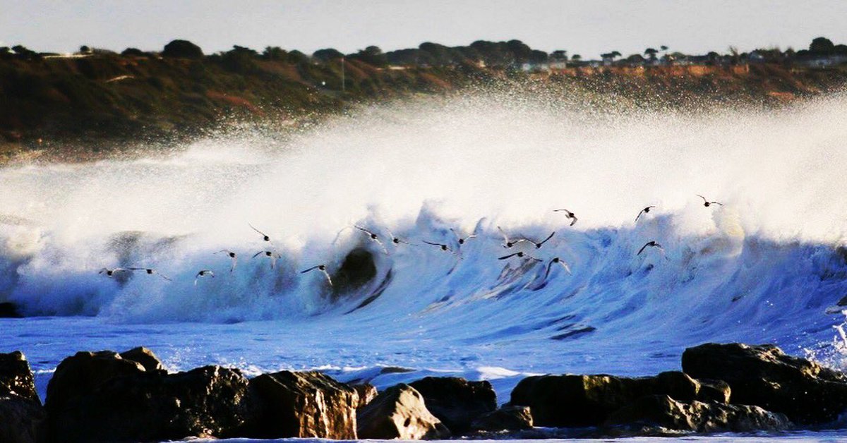 Sunshine and waves 😎