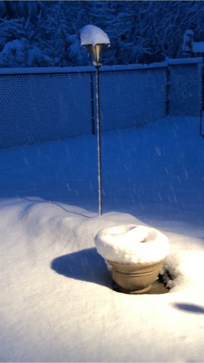 #wralsnow rocky mount