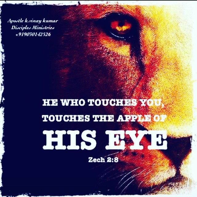 arysjohn's tweet photo. https://t.co/xS8cEi96E8
#Zechariah_2_8
For thus #saith the #Lord_of_hosts; After the #glory hath he #sent #me unto the #nations which #spoiled #you: for #he that #toucheth you #toucheth the #Apple of his #EYE.
#Apostle_k_vinay_kumar
#Disciples_Ministries +919030142526 https://t.co/4wvpdJ4eLw
