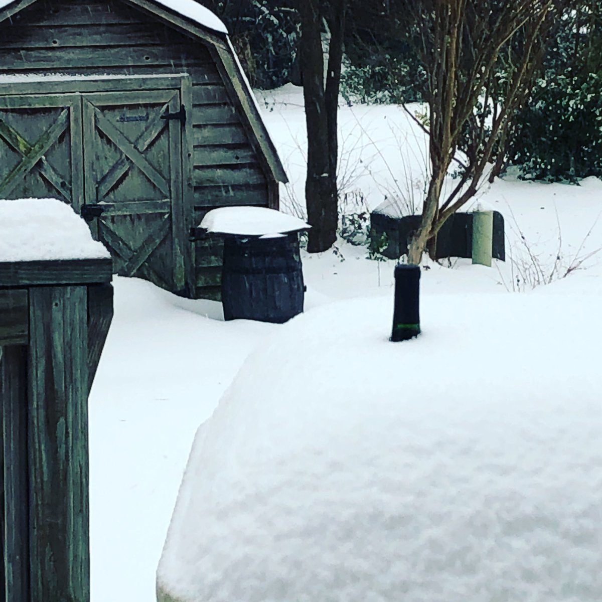 LakeJamesCellar's tweet photo. We are closed today for obvious, snowy reasons. Hopefully we can reopen Tuesday for normal hours. Stay safe out there!!!
🍷❄️☃️
#LakeJamesCellars 
#NCWine https://t.co/ypUSQOYjff