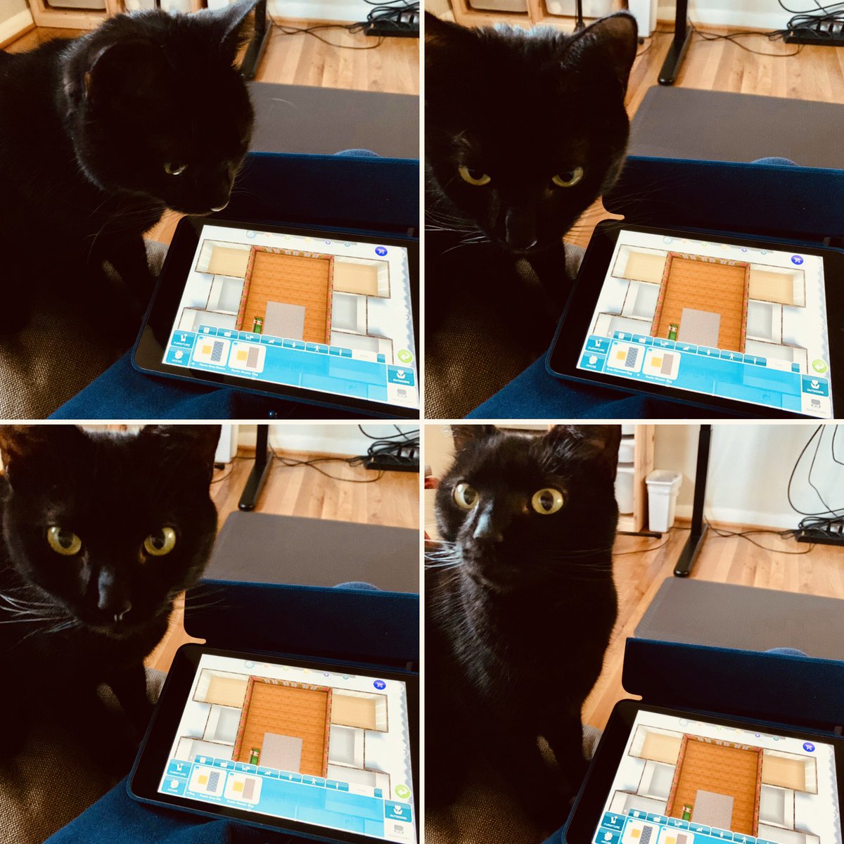 make2tv's tweet image. Our Christmas house for Santa’s elves has passed the cat inspection! 😼 Check out the tour at youtu.be/rZ0mm8gAEqA 🎄☃️ Happy Holidays! 🎅🏽🤶🏽  #SimsFreePlay #TheSimsFreePlay