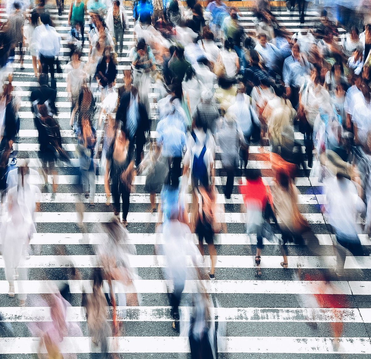 NYC Climate Action tweet media