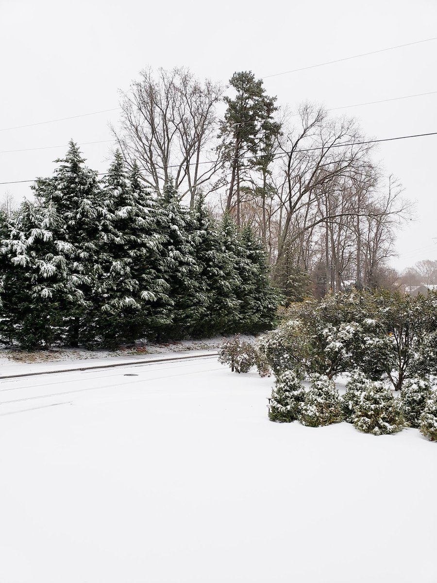 Snow in Davidson ❄️ <a href="/wxbrad/">Brad Panovich</a>