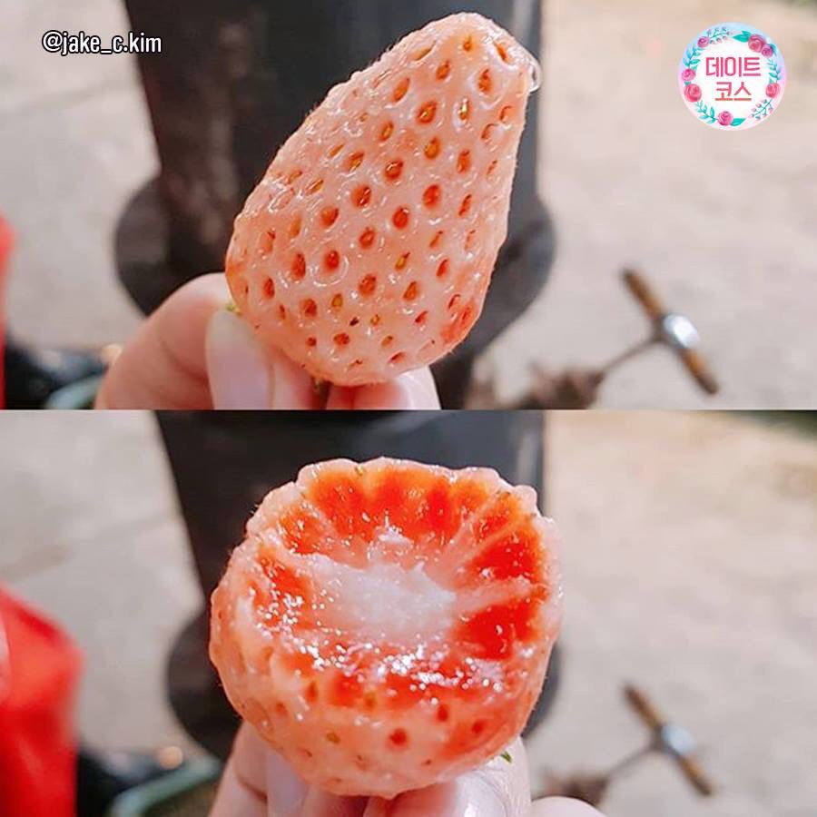 stitch_pololo's tweet photo. สตรอเบอร์รี่สีชมพูววววที่เกาหลี🍓🍓🍓
น่ากินมากกก เค้าบอกว่าหวานกว่าสีแดงปกติ ฮรือออ อยากกิน ใครเคยลองแล้วมาบอกต่อรสชาติกันหน่อยว่าอันไหนหวานกว่ากัน https://t.co/0gobJ4lGwc
