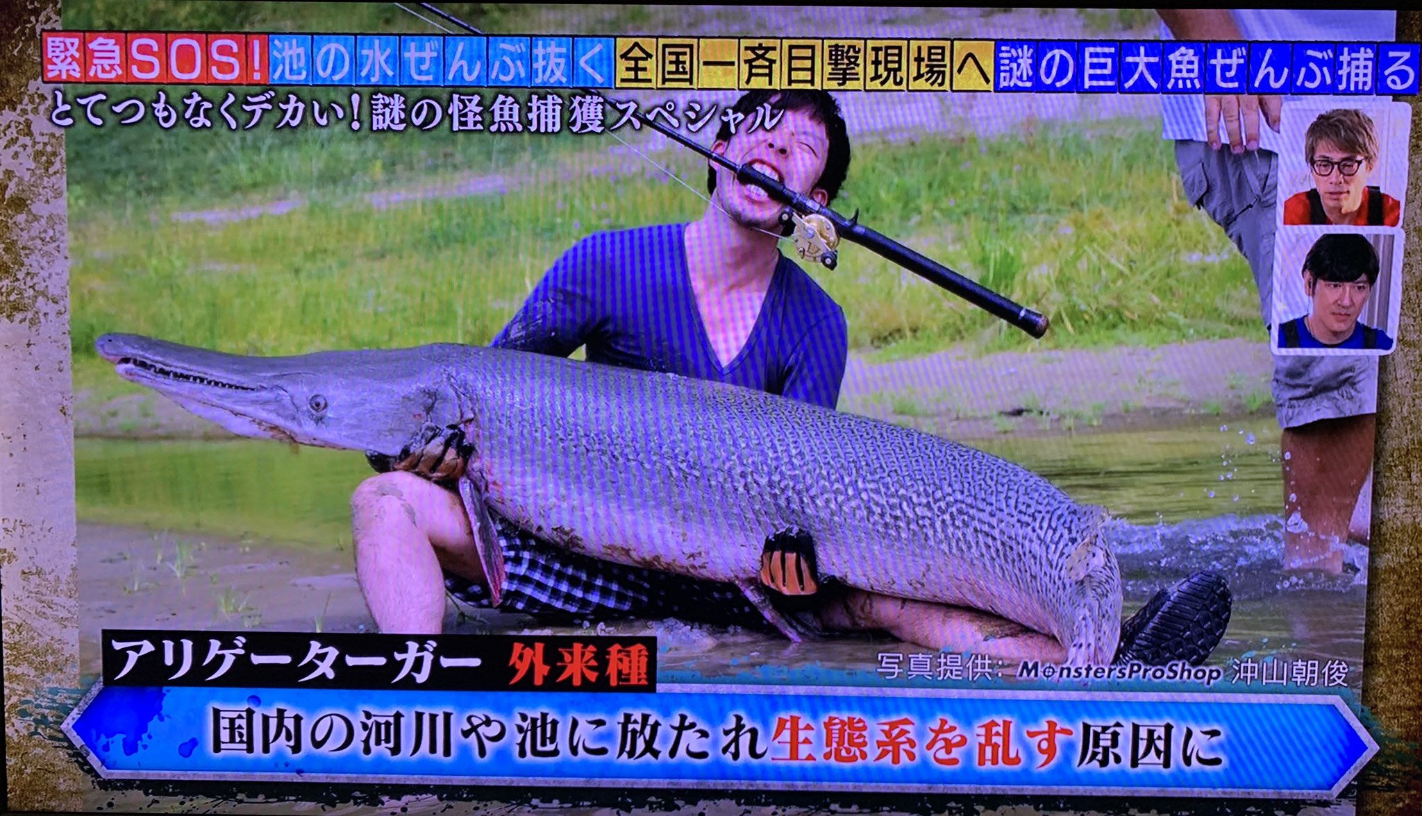 沖山朝俊 しげる なんか映ってた様ですね そもそもアリゲーターガーは危険じゃないよ ランディングの時に暴れたら危ない事は無いとは言い切れないけどね 何もしなければ襲ってくる事はまず無いです 池の水ぜんぶ抜く T Co Yftwxeipgn Twitter