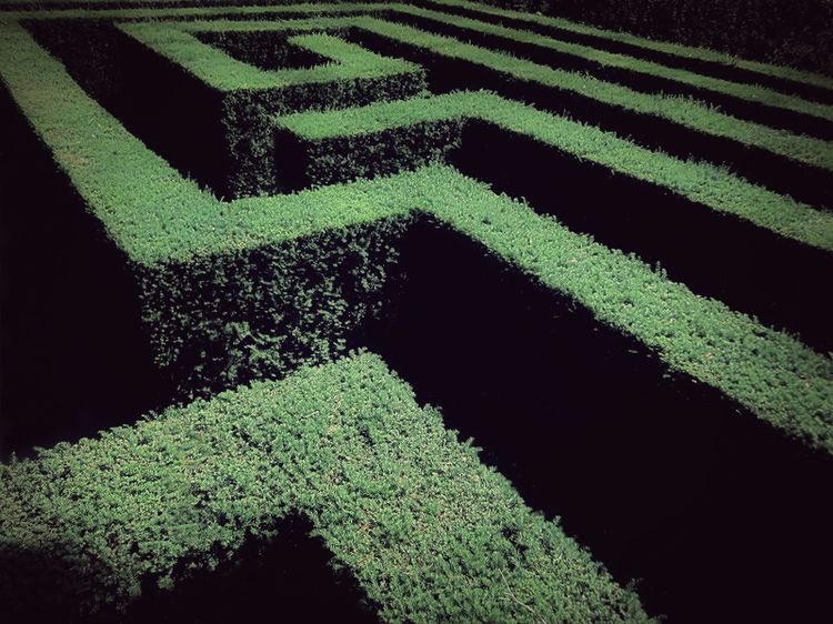 Harry Potter and the Goblet of Fire by J.K. Rowling“I want to fix that in my memory for ever. Draco Malfoy, the amazing bouncing ferret...’