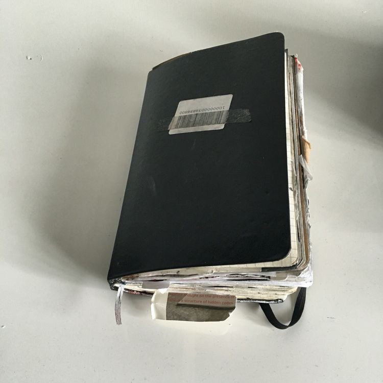 An Absolutely Remarkable Thing by Hank Green“You can only do so much pretending before you become the thing you’re pretending to be.”