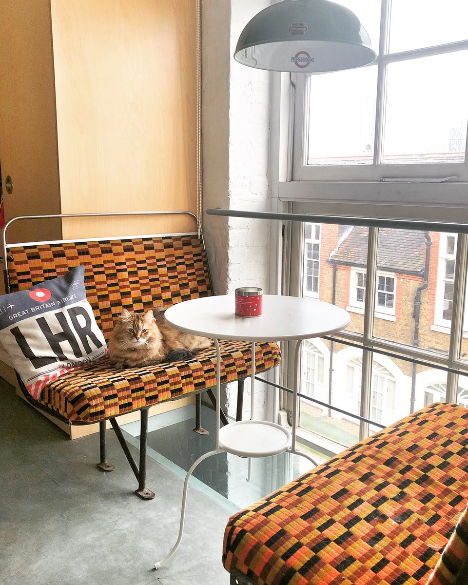 Bobbin seems to love our reclaimed bus seats just as much as we do! #bus #busseat #vintage #antique #retro #seats #vintagefurniture #retro #moquette #transportforlondon
