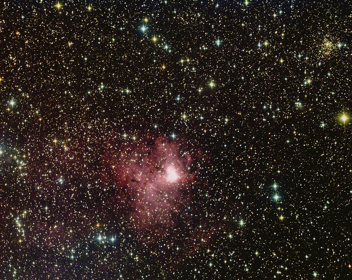 BlakePlanet's tweet image. NGC 1491 - Bright Emission Nebula and HII Region
Distance: Approximately 10,700 Light-Years
Constellation: Perseus
ATEO Telescopes
Telescope: 16" f/3.7 Astrograph Newtonian Reflector (ATEO-1)
CCD: FLI Proline
Exposures: LRGB - 600 Sec. Bin 2x2
Processed in PixInsight 1.8