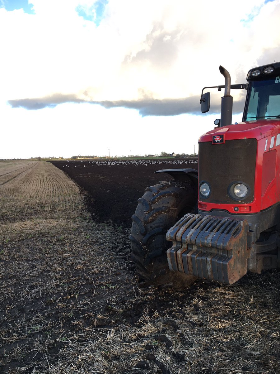 TimBoor_Arable's tweet photo. Looking forward to growing sugar beet for @BritishSugar for the first time next year, hope the drilling is straighter than my ploughing! https://t.co/WE6uHoaNC5