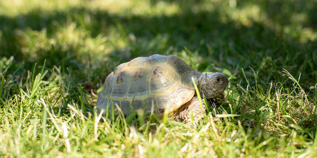 WFTradedService's tweet image. Come along to the Epping Forest Festive Fair this wkend, celebrating the arrival of Christmas in the forest. We'll be joining @SuntrapCentre &amp;amp; animals for festive music &amp;amp; mulled wine in the wintry forest. Come say hi! ow.ly/x5nI30mSSVZ @TheHubWF #christmas #epping